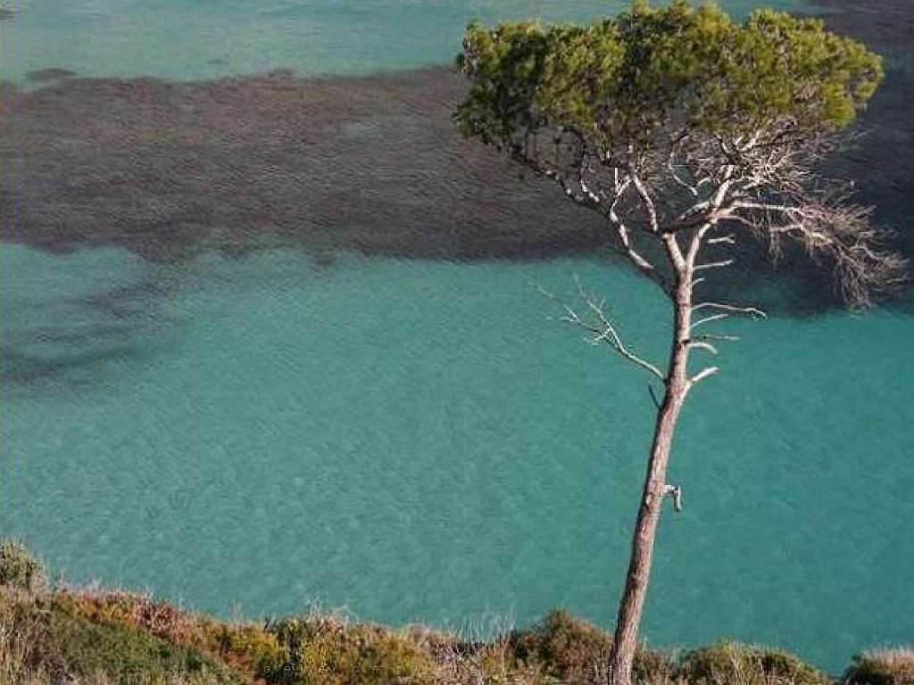 1 Les Calanques entre Marseille et Cassis 2_000010.jpg